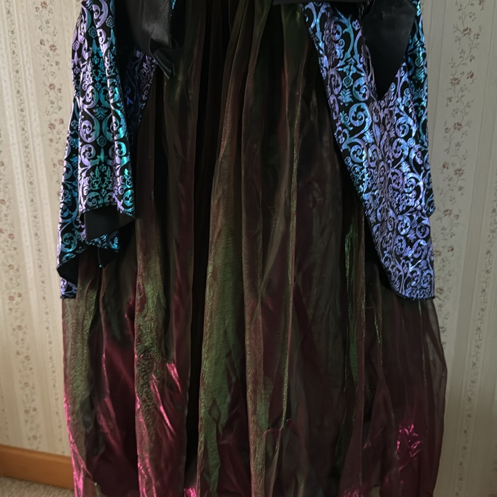 Vampire Costume - Picture 4 of 5